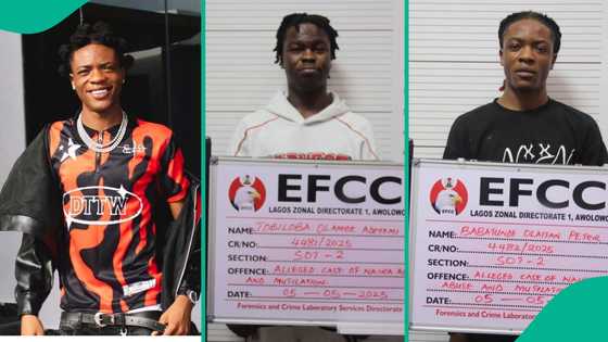 Tee Dollar, Tobi Nation jailed for naira abuse, their mugshot trend: "Poor man pikin dey suffer