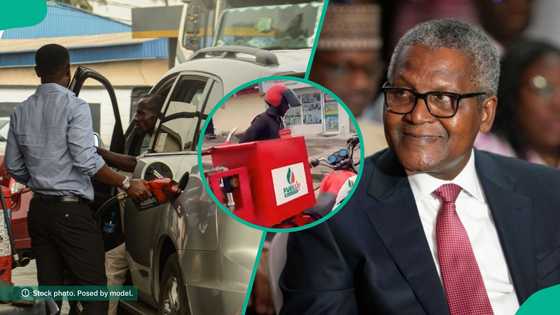 Dangote speaks on reported plans to begin bike fuel delivery service