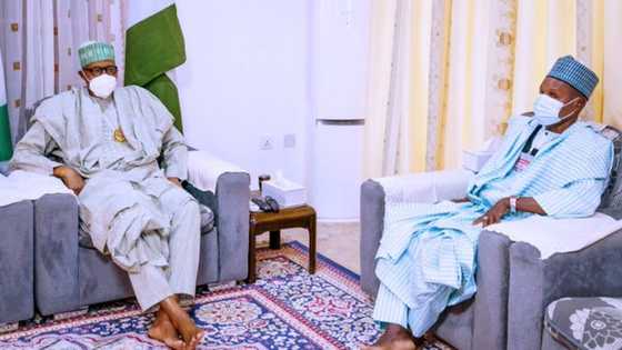 Daliban Kankara: Daga Daura, Shugaban kasa ya fadi mutum 4 da suka taka rawar gani