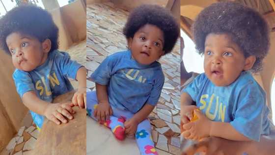 "The most beautiful girl in the world": Viral video of baby with long natural hair causes stir on TikTok