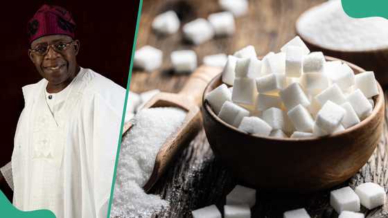 More employments for Nigerians as FG launches new Nigeria Sugar Master Plan