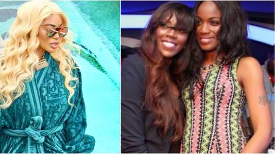 Don’t try to confront me, I send people to jail: Dencia wades into Tiwa and Seyi Shay's clash