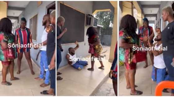 Sugar Mummy Returns From Dubai to Gift Lover a Car, Catches Him With Pregnant Bae