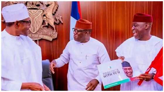 How I won Ekiti governorship election without buying votes, Biodun Oyebanji reveals after meeting Buhari