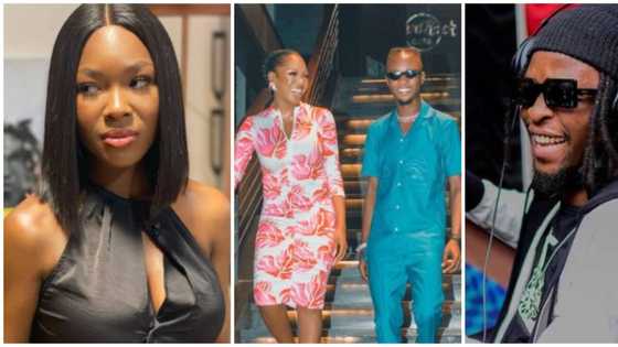 Don't ever come for me: Vee warns Twitter user who accused her of not promoting Laycon's music