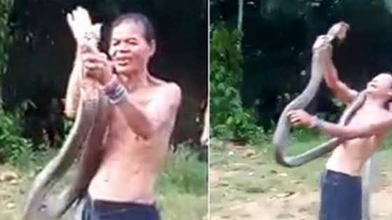 Bidiyon yadda maciji ya kashe wani mai wasa da macizai yayin da ya ke nuna bajintarsa a bainar jama'a