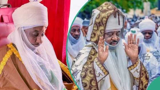 'In the eyes of the law, he is the one’, top lawyer names Emir of Kano between Sanusi and Bayero
