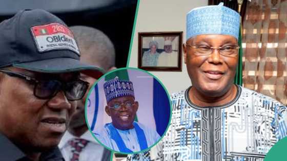 Obi/Atiku vs Tinubu: “A small child will overcome the giant elephant”, Pst Kingsley unveils prophecy