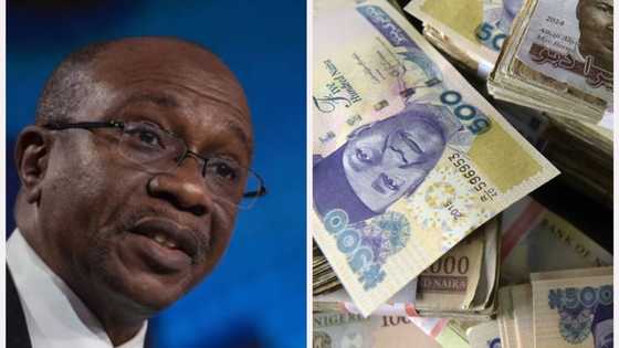 "Fill the Form": CBN Opens Portal for Nigerians to Return Old Naira Notes Commercial Banks Are Rejecting