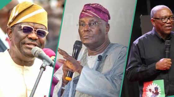 “Not won on social media": Wike tells Atiku, Obi as tribunal affirms Tinubu’s victory