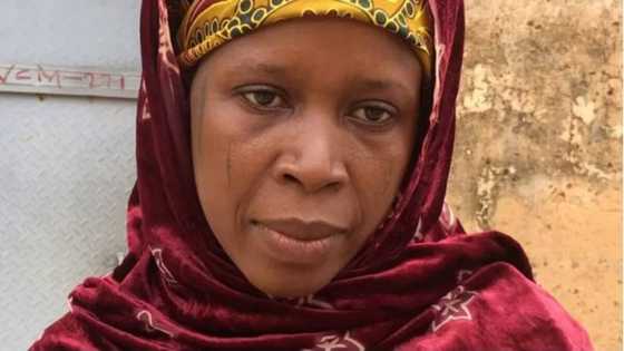 In world where some are looking for a child, Jummai wants more after having 17 children, gives reason
