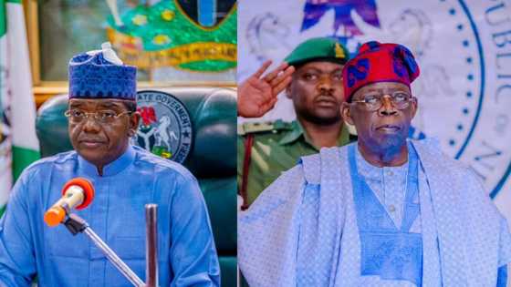 An fara matsa wa Tinubu daga Amurka, ana son ya kori Matawalle daga kujerar minista
