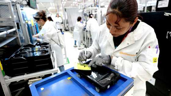 Mexican car industry fears higher tariffs on China will drive its demise