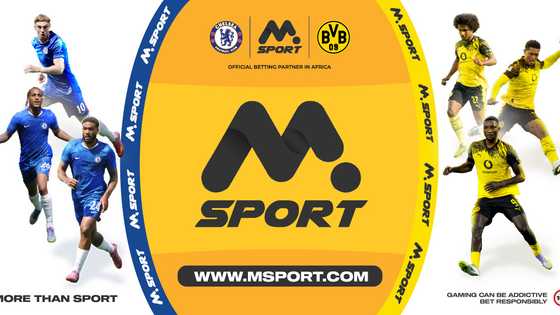 MSport 2026: New features, real winners & why MSport is Africa’s biggest sports betting platform