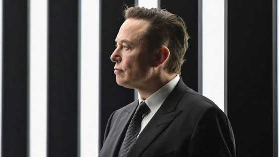Former SpaceX employee got N103m to keep quiet after Elon Musk “exposed” himself & offered to buy her a horse