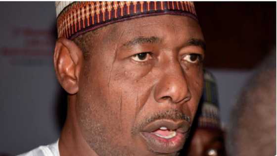 2023: Ku Dena Cewa Tilas Ne a Baku Mulki, Zulum Ya Gargaɗi Gwamnonin Kudu