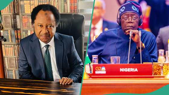 Lakurawa: Shehu Sani warns of growing threat from terrorist group, “This is a challenge to ECOWAS”