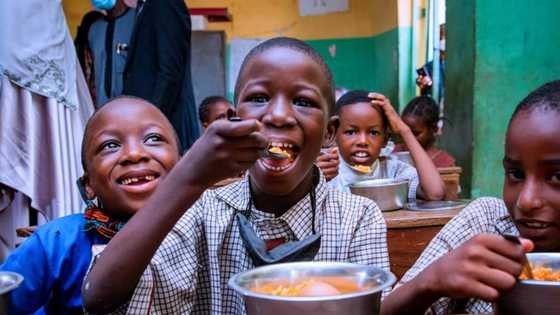 Children, teachers lament as FG's school feeding programme suffers setback