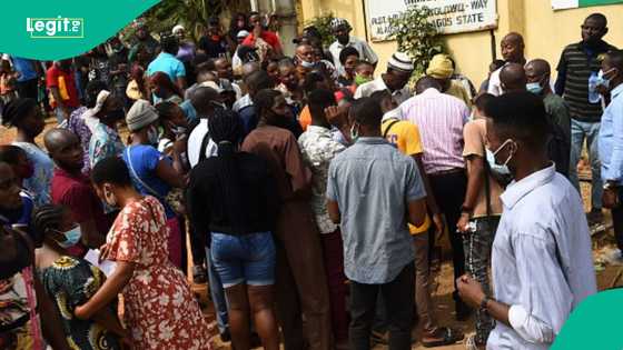 Nigerian banks, telcos struggle as NIN verification portal downtime extends into second week