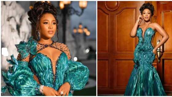She still no collect best dressed: Reactions to claims that Erica's AMVCA dress cost N329m