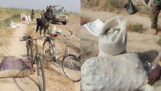 Hotuna: Rundunar soji da taimakon manoma sun fatattaki mayakan Boko Haram a Borno