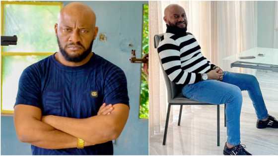 People just want to hear send me your account no: Yul Edochie laments rate Nigerians prefer money to learning