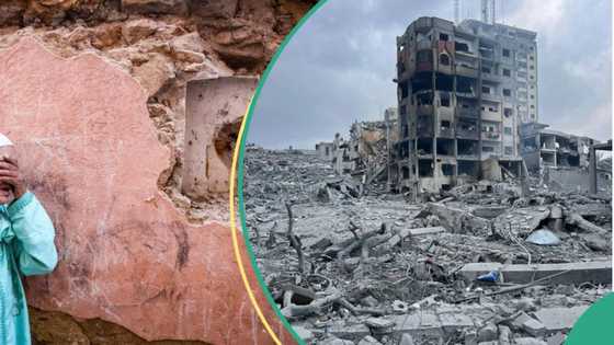 What will end the Israeli-Palestinian conflict? Activist makes 'key' recommendation