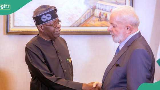 Tinubu meets with Brazilian president, Lula da Silva, details emerge