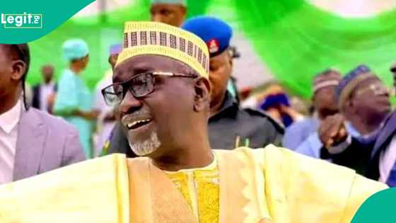 Amsar da Malam Shekarau ya ba shugaban APC bayan ya nemi ya koma jam'iyya mulki