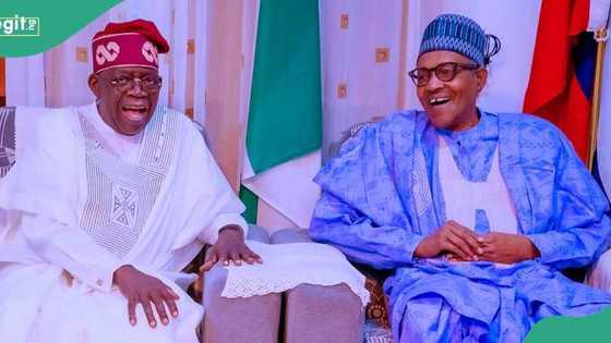 Buba Galadima: 'Dalilin da ya sa Buhari bai so Tinubu ya zama shugaban kasa ba'