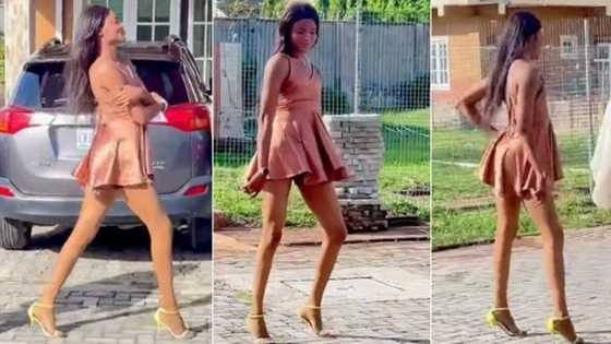 "I was paid N4 million": Nigerian man who transformed into woman catwalks in heels, video trends