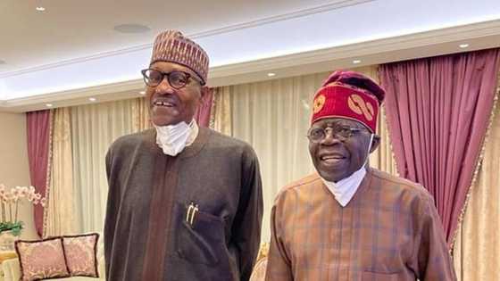 2023 Presidency: Bola Tinubu is recommended as President Buhari’s successor