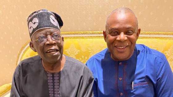 Bola Tinubu advised to consider Faleke for chief of staff