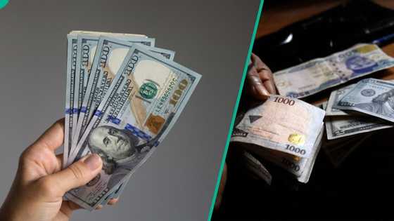 Naira exchange rates update: CBN releases dollar, euro, pound prices at official market