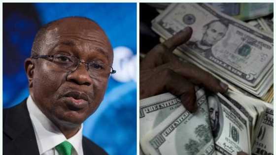 CBN loses more firepower to defend Naira from further devaluation against US dollar, other foreign currencies