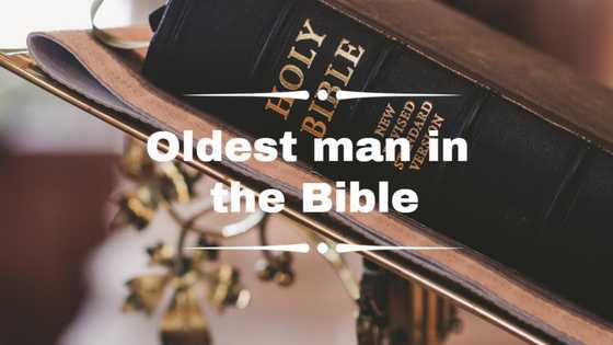 Top 10 oldest men in the Bible: Interesting facts and details