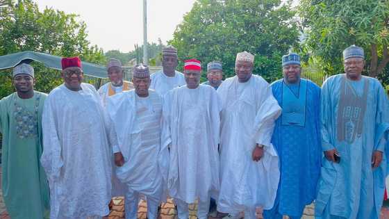 Jam’iyyar APC Ta Na Yunkurin Karbe Kujerar Sanatan da NNPP Ta Samu a Jihar Kano