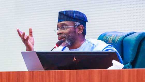 Affirmative action: Gbajabiamila speaks on women's underrepresentation in NASS
