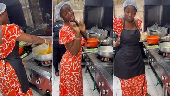 "Foods plenty for Nigeria o": Full list of assorted meals Hilda Baci cooked for over 100 hours exposed