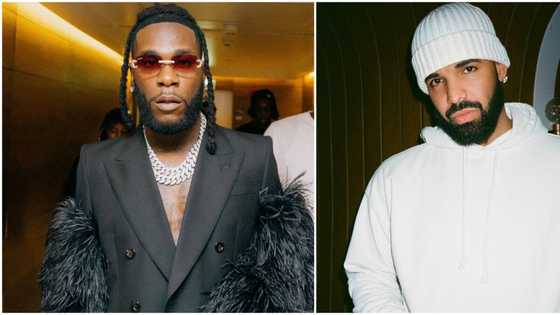 "They'll start asking him for features": Reactions as Drake posts video jamming to Burna Boy's Last Last