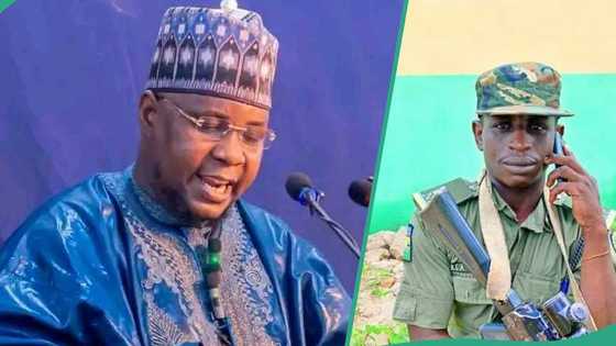 Yan ta'adda sun firgita, an fara neman gwamnati ta karbi tuban jigo a sansanin Turji