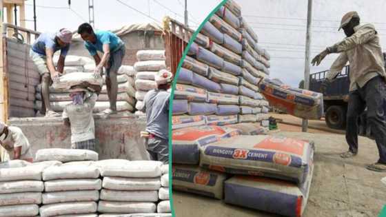 Buhun siminti zai yi arha, Shugaba Tinubu ya aike da saƙon farashi ga Dangote, BUA da wasu kamfanoni