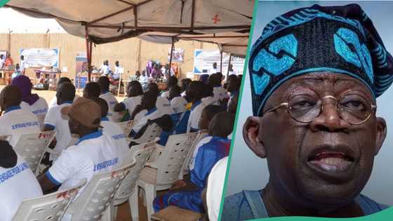 FG faces backlash as 'repentant' Boko Haram fighters reportedly escape with military rifles