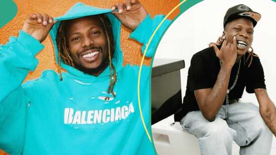 "No hate zone": Asake declares love for Seyi Vibez's song Different Pattern, fans react