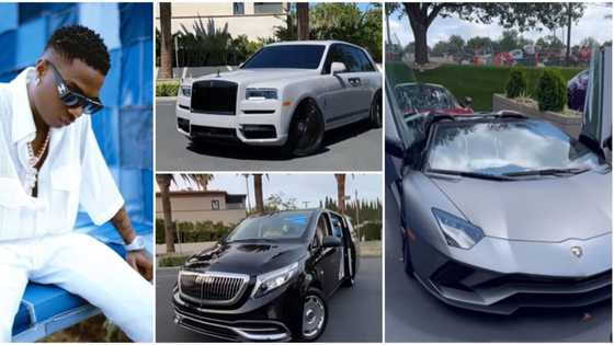 "BigWiz said make it 7": Rolls Royce, Lamborghini, Maybach spotted as Wizkid splashes millions on luxury rides