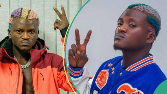 "He dey perform sha": Portable thrills fans at Bella Shmurda's concert in London, crowd goes gaga