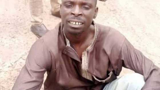 Hoton Hatsabibin Ɗan Bindigan Sokoto Da Aka Kama a Gidan Karuwai Bayan Shafe Shekaru Ana Nemansa Ruwa a Jallo