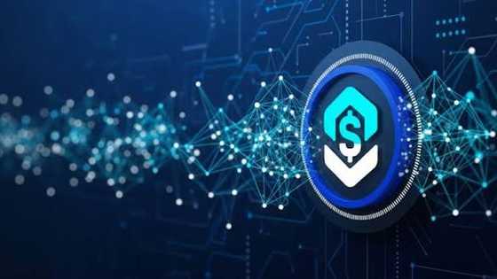Stablecoin APIs for Gaming Companies | How Gaming Companies Can Sort Settlements in Minutes