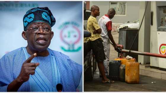 "N700 per litre": Oil prices rise as Nigeria, other OPEC members agree to cut crude production