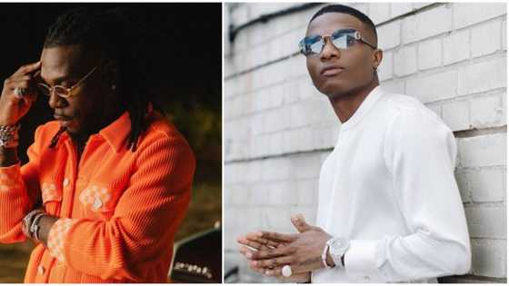 Atiku, Shehu Sani react to Burna boy, Wizkid’s first Grammy awards